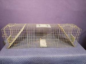 Animal Trap