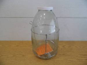Minnow Trap