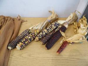 Native American Clothing - Blanket