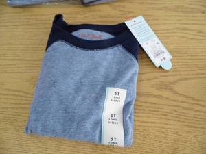 Lot of 12 Shirts