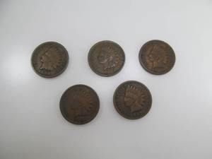 Indian Head Cent