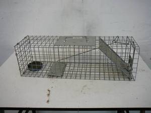 lot 14 image: Live Trap
