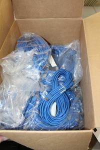 lot 39 image: FastEthernet010 QS 6ft. Blu Booted C6 CM Cables