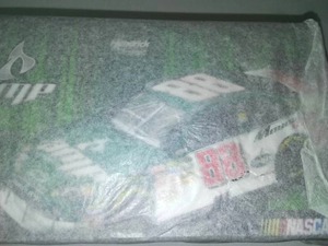 lot 35 image: NASCAR # 88 Dale J, Earnhardt, Amp