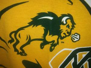 lot 50 image: 2 new Bison shirts Large new without tags.