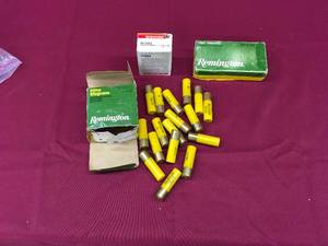 20 Gauge Shells, 308 Win. Ammo, & Winchester 45 Colt Ammo