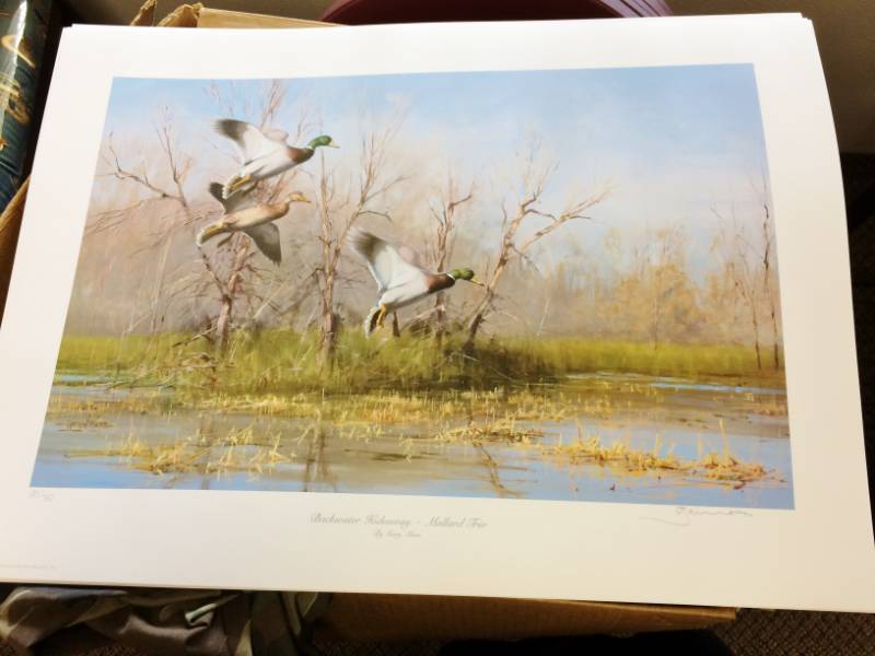 lot 1 image: Backwater Hideaway - Mallard Trio by Gary Moss Signed & Numbered Limited Edition Print Size With Border Approx 25x18