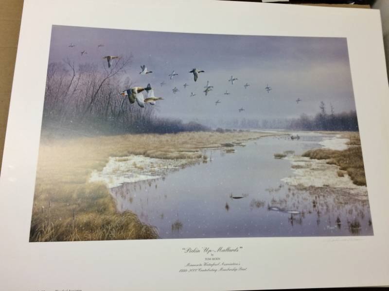 lot 14 image: Pickin Up Mallards by Thomas Tom Moen Signed Print Size With Border Approx 25x19