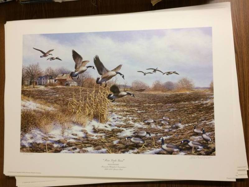 lot 42 image: Rice Lake Geese by Dick Plasschert Signed & Numbered Limited Edition Print Size With Border Approx 30x21
