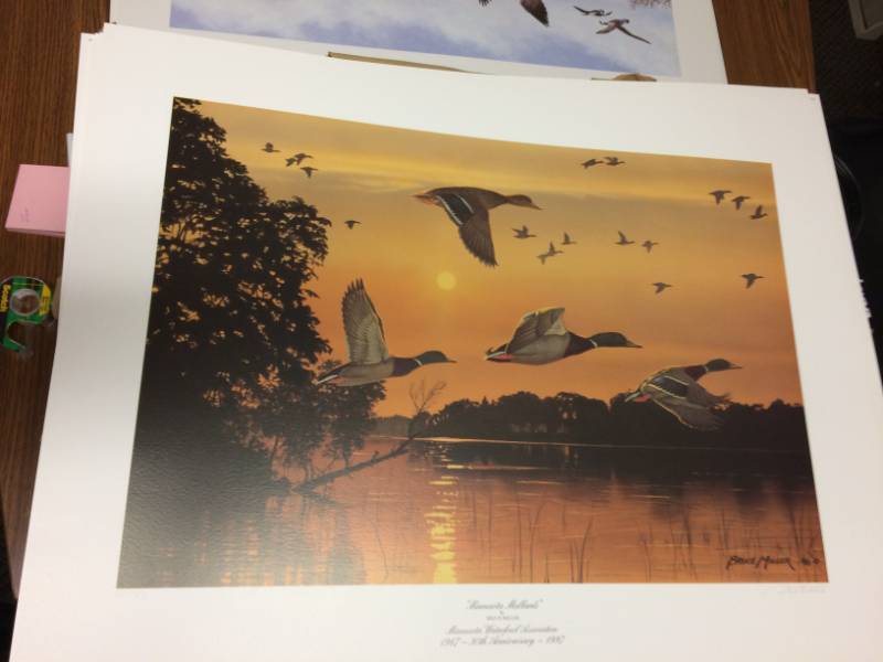 lot 45 image: Minnesota Mallards by Bruce Miller Signed & Numbered Limited Edition Print Size With Border Approx 28x21