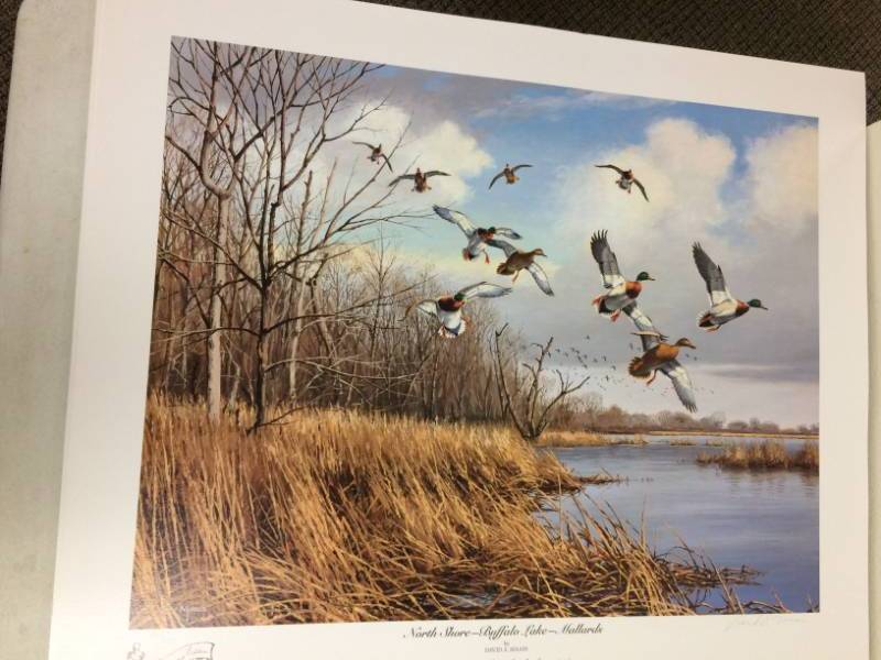 lot 71 image: North Shore - Buffalo Lake - Mallards by David A. Maass Signed & Numbered Limited Edition Print Size With Border Approx 27x23 35th Anniversary Edition