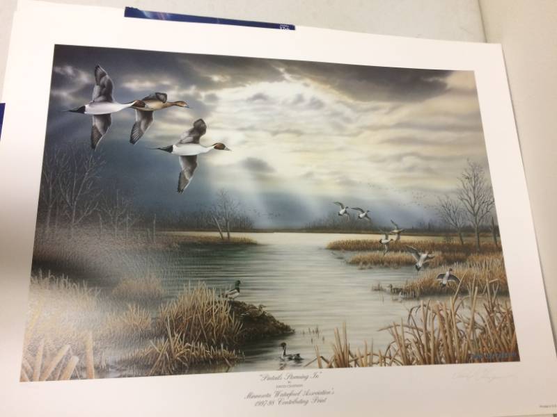 lot 74 image: Pintails Storming In by David Chapman Signed & Numbered Limited Edition Print Size With Border Approx 25x19