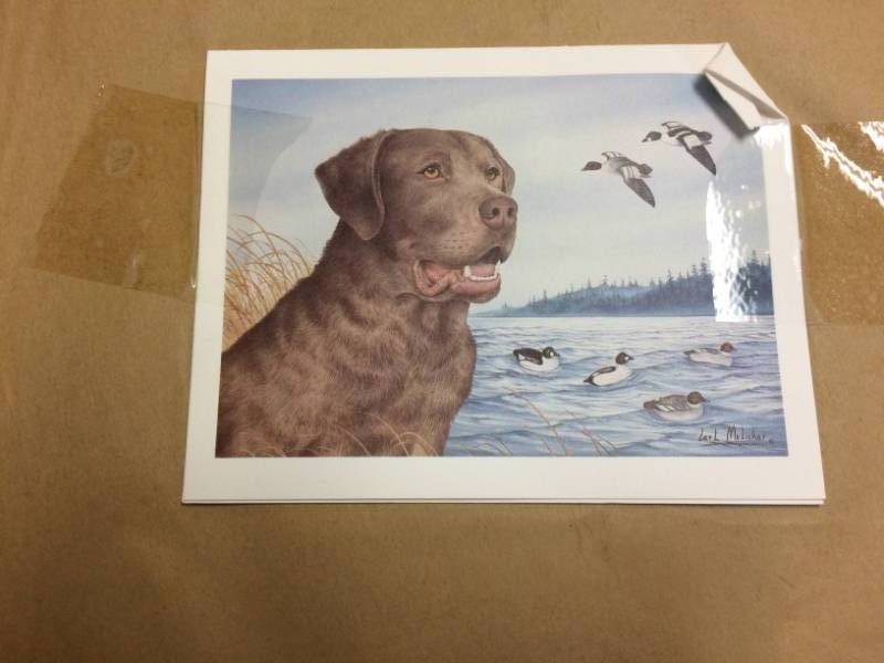 lot 85 image: Chesapeake With Goldeneyes By Carl Melichar Signed & Numbered Limited Edition Print Size With Border Approx 23x20