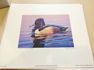 lot 6 image: 1994 Minnesota Duck Stamp Print Ring Necked Duck Ed Durose Signed Numbered Artist Proof 106120 Very Rare