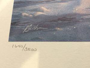 lot 12 image: 1989 Minnesota Pheasant Habitat Print Darrell Bush Signed Limited Numbered #3500 Image Size 9 by 6.5