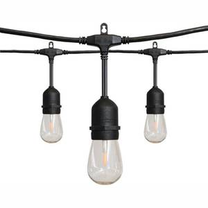 lot 191 image: Hampton Bay 24 ft. 12-Light Filamen...