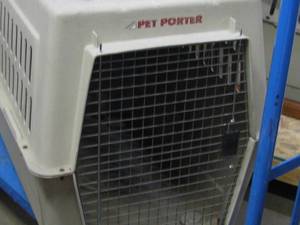 Pet Porter