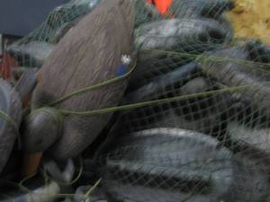 Mallard Decoys