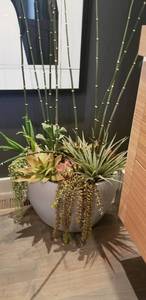 lot 127 image: Bachmans Commercial Resin Planter with Green Bamboo Rods