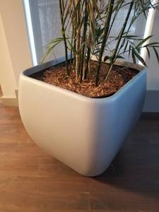 lot 134 image: Large Square Bachmanns Commercial Resin Planter