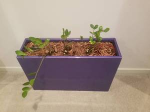 lot 128 image: Bachmans Commercial Resin Planter