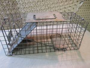 lot 43 image: Havahart Live Trap 7 12 x 7 12 ...