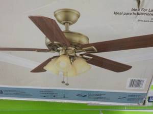 lot 217 image: 52 Hampton Bay Lyndhurst Ceiling F...