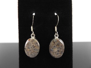 .925 Sterling Silver Gray Jasper Hook Dangle Earrings