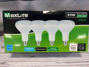 Daylight 65w LED Light Bulbs (last 22 years)