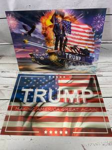 Lot of 2 Trump 3D Signs