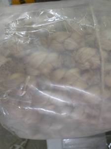 Home Decorators Collection Braided ...