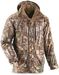 Sportsman 229