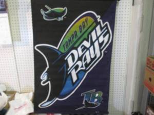 lot 124 image: Tampa Bay Devil Rays Hanging Banner...