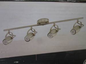 lot 175 image: Globe Electric Samara 4-Light Brush...