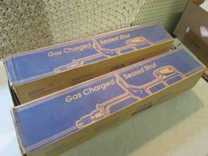 lot 276 image: Pair of Gas Charged Replacement Str...