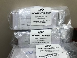 lot 17 image: VANGUARD CORE PHONESECURITY APPLE LOT