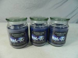 3 New CandleLite Candles