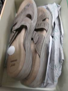 Earth Origins Slides Size 7...