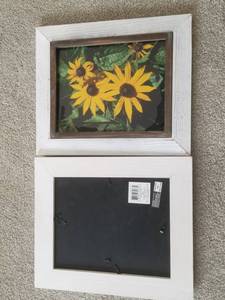 lot 84 image: Blackeyed Susan Flower Framed Photos Art