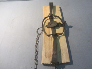 Victor Double Spring Trap