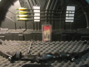 Compound Bow