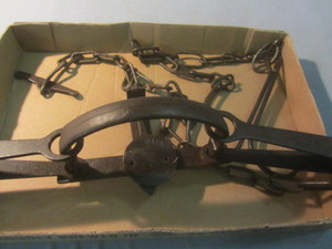 Newhouse #4 Trap