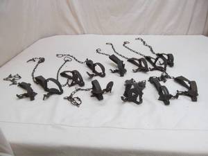 varmint traps