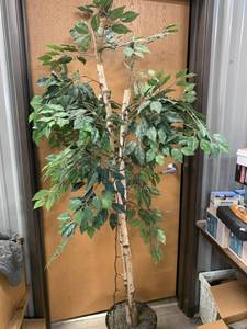 lot 71 image: 6 12 Foot Tall Artificial Lighted Tree