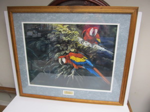 lot 255 image: Large Framed Signed & Numbered Tropical Bird Print by Gianni Ratnavira