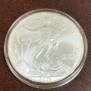 lot 5 image: 2003 Silver Eagle