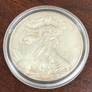 lot 7 image: 2009 Silver Eagle