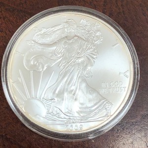 lot 9 image: 2009 Silver Eagle