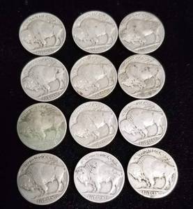 GROUP OF 12 US BUFFALO NICKELS