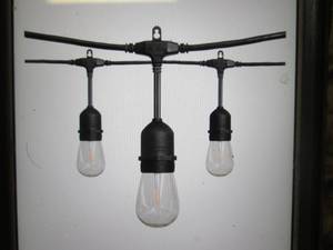 lot 147 image: 24 ft 12-Light Filament LED String ...